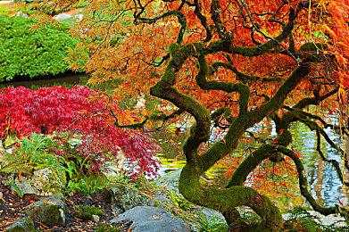 神谷英树再谈《大神》：团队软弱销量失败